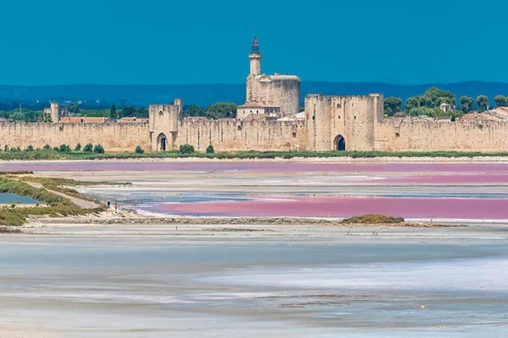 Maison A 800M Des Remparts Aigues-Mortes Bagian luar foto